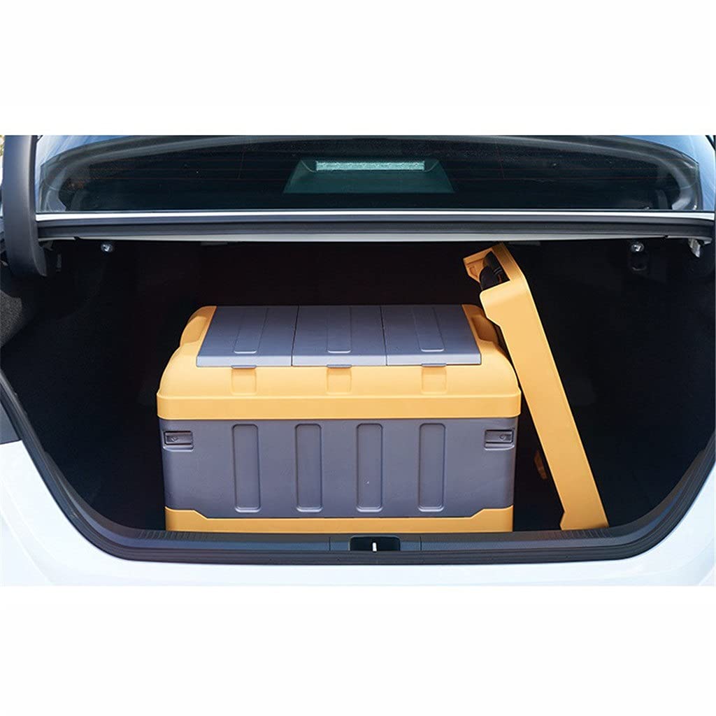 Plastic Car Trunk Organizer & Cargo Storage Box