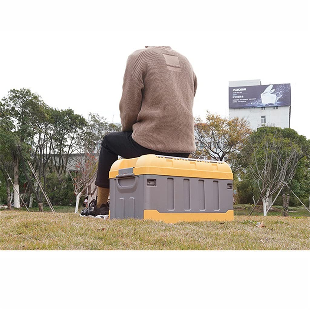 Plastic Car Trunk Organizer & Cargo Storage Box