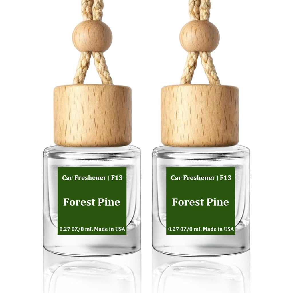 HoogaLife Car Air Freshener Diffuser 2 Pack Hanging Air Freshener Diffuser