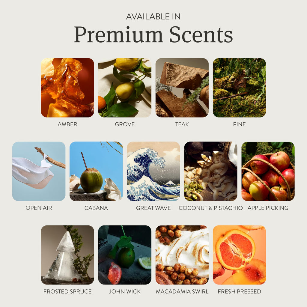 Drift Stone Air Freshener Refill - Variety Pack